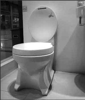 椅子式坐便器