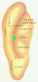Ѩ