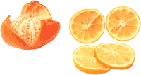 ϴ