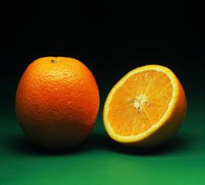 ҽ񶬵ĿŶ