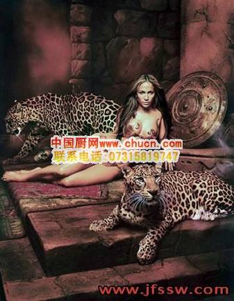 躺减法:史上最懒减肥招