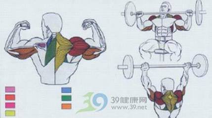 器械健身_图示:分解坐推杠铃运动