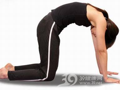 塑身瑜伽_经典猫式塑背瑜珈(图)