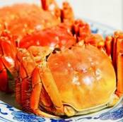 大闸蟹食材介绍