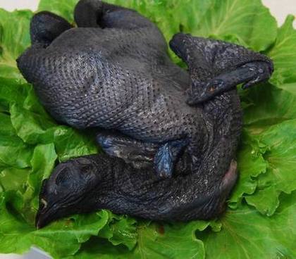菜谱百科:乌鸡