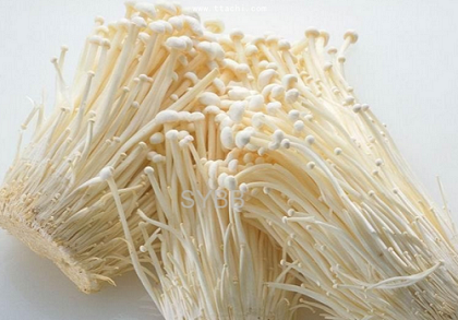 金针菇的营养价值与功效的介绍