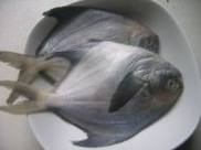 茄汁鲳鱼