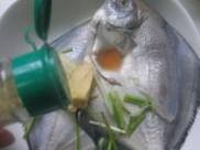 茄汁鲳鱼