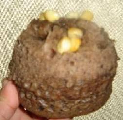 微波炉蛋糕 微波炉蛋糕