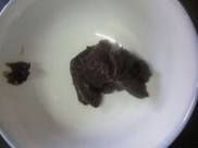 肉末酱茄子