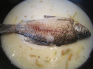 吉“鲫”祥“香”如意