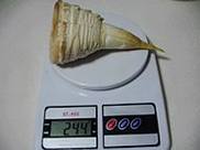 金钩炒冬笋