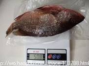 清蒸红鱆鱼
