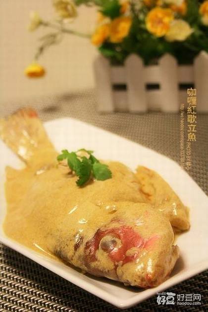 咖喱红歌立鱼