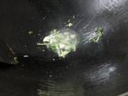椒炒里脊肉丝