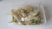 椒盐菜根