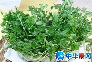 豌豆苗