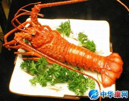 澳洲龙虾