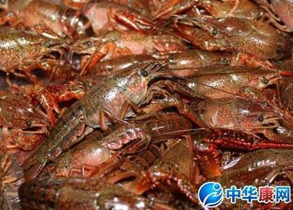 龙虾