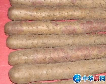 铁棍山药