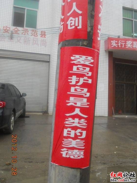 DSCN4346.JPG