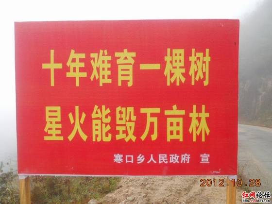 DSCN4339.JPG