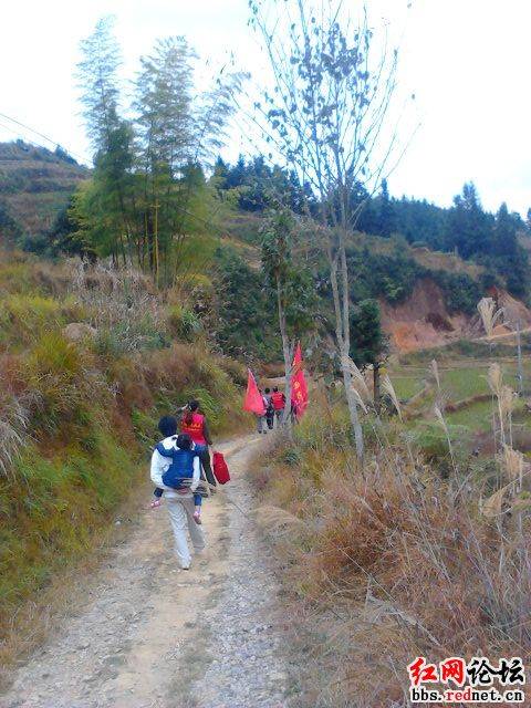 IMG_20121027_150347.jpg
