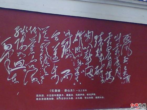 IMG_20121028_104416.jpg