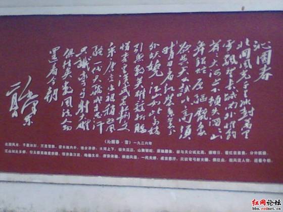 IMG_20121028_104525.jpg