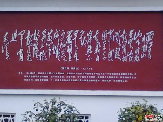 IMG_20121028_104837.jpg