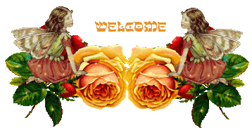 ޼˰ʲô
