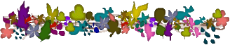 ͼƬ