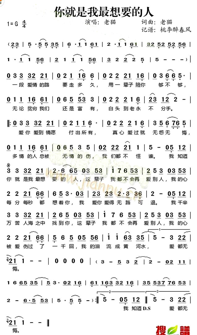《你就是我最想要的人》(老猫演唱)