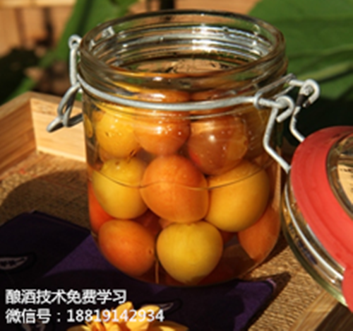 白酒设备:果酒机器之家庭自酿李子酒的制作方法揭秘