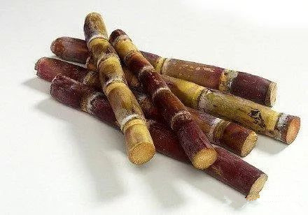 甘蔗酒酿制技术方法