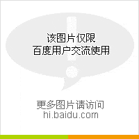 遮阳
