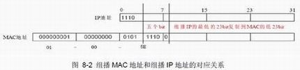 ֪ʶ--鲥