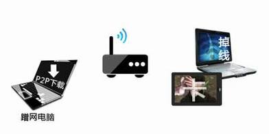 УTP-LINK߲Ʒη