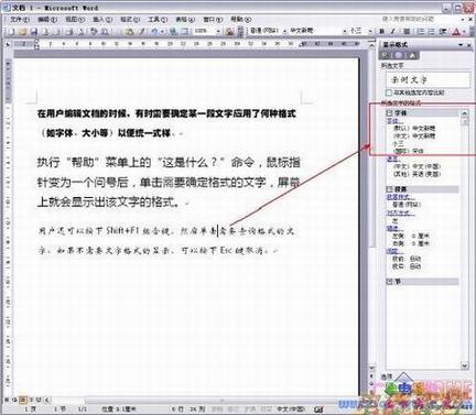 如何快速知晓Word文档某处文字的格式