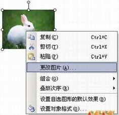 ͼƬ