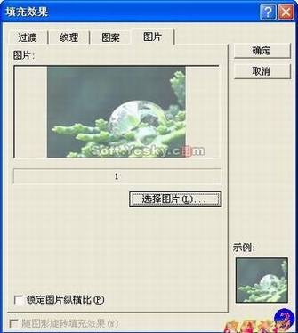 ͼƬ