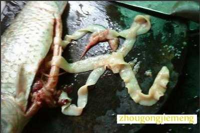 μг