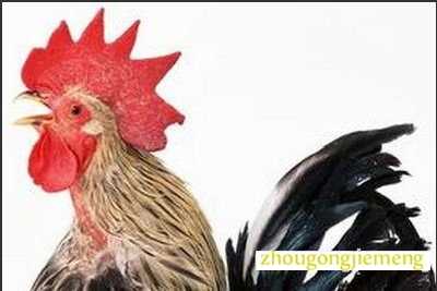 μл